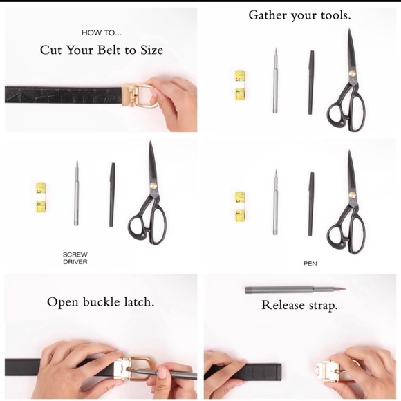 Authentic New Coach Belts w Interchangeable Buckles - Picture 6 of 12